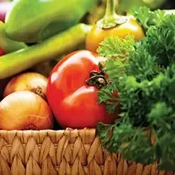 سیستم آبیاری قطره‌ای چیست و چه مزایایی برای باغ‌ها دارد؟
