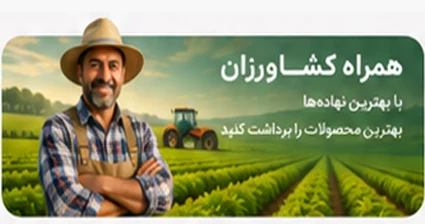 فوتر